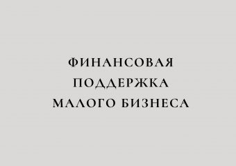 Финансовая поддержка малого бизнеса