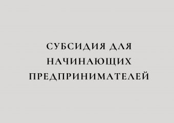 Субсидия для начинающих предпринимателей