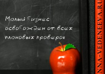 Малый бизнес освобожден от всех плановых проверок